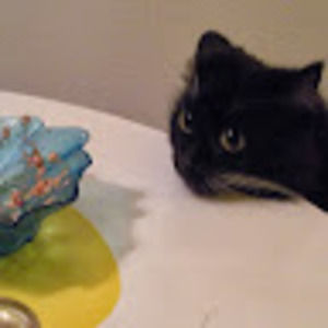 Meet your Posher, Queen